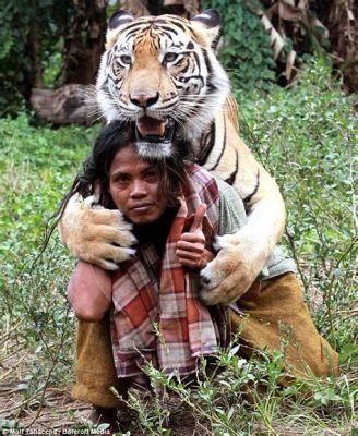  La Leggenda di Chien-Ming: Un Uomo e la Sua Tigre Scatenata con un Desiderio Insaziabile!